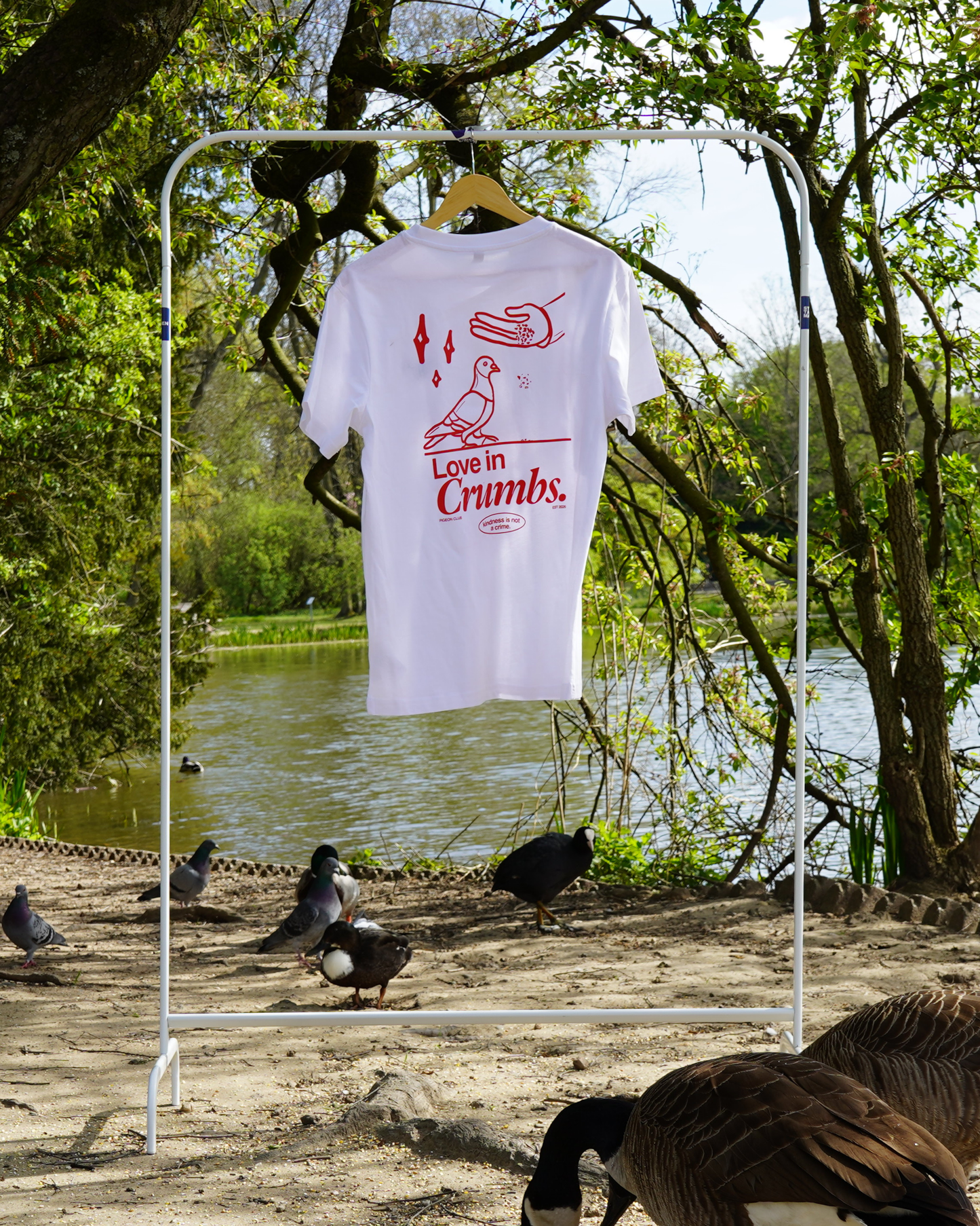 Pigeon Club Shirt – Love in Crumbs - Tauben T-Shirt