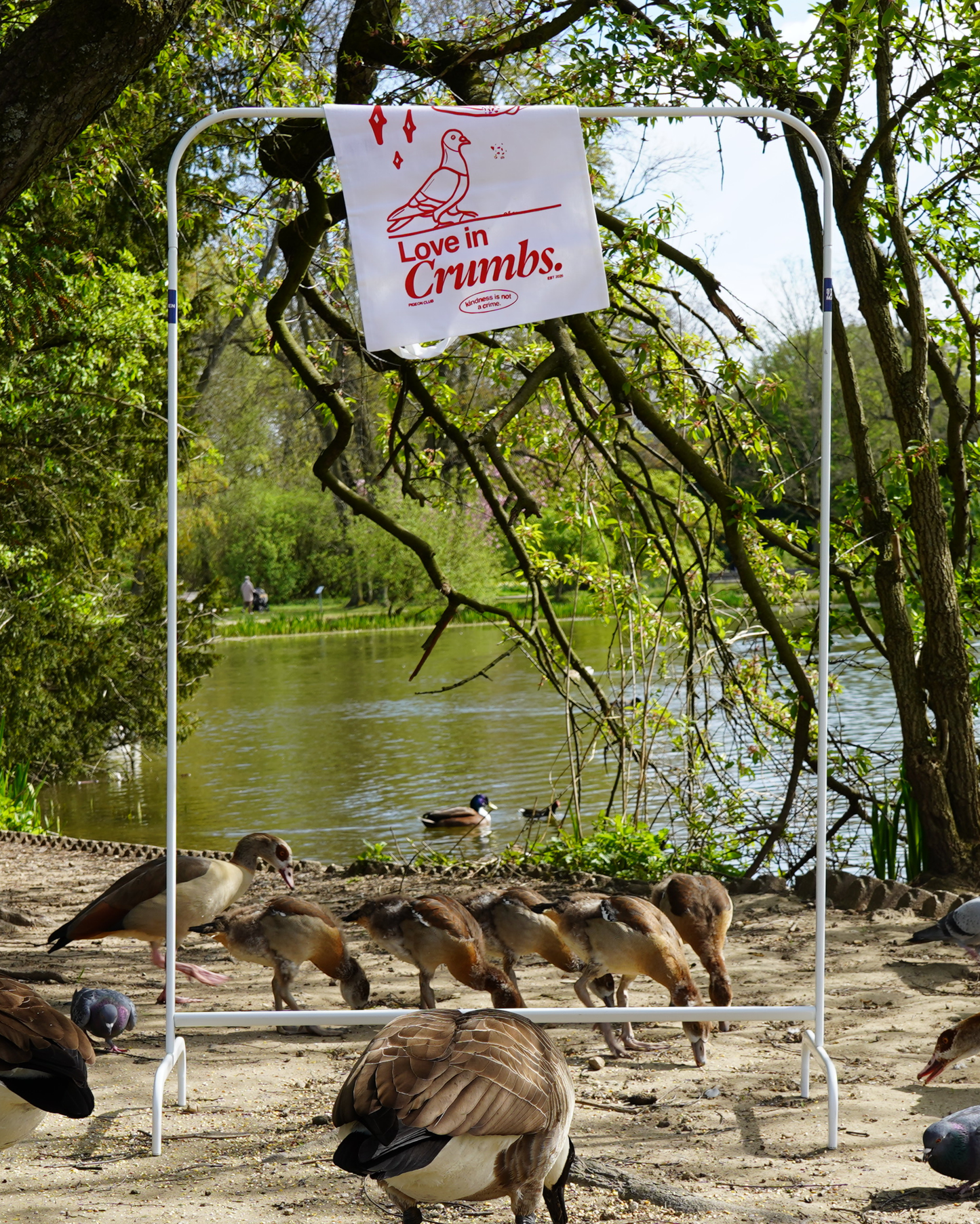 Pigeon Club Beutel – Love in Crumbs - Tauben Beutel